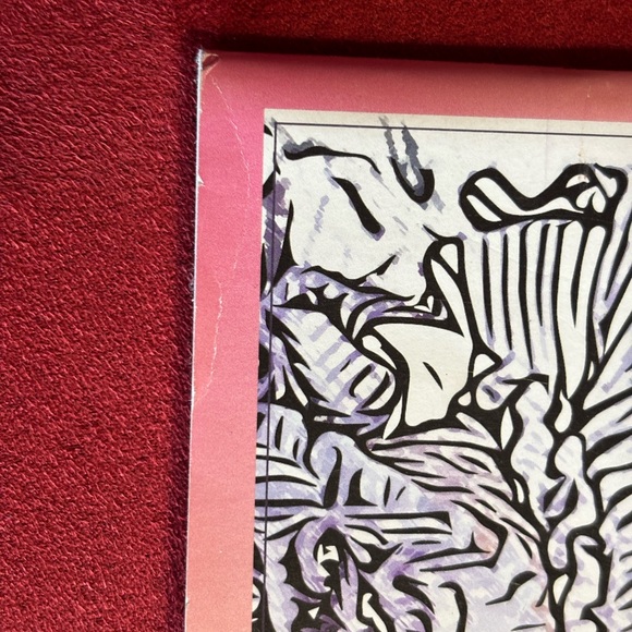 Taylor Swift Coloring Book - 32 Artistic Designs - Picture 5 of 6